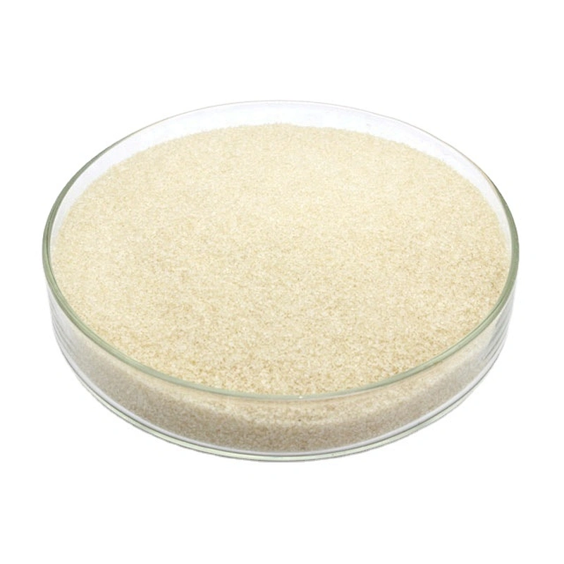 Food Grade Gelatin Bloom Best Quality Edible Gelatin Price
